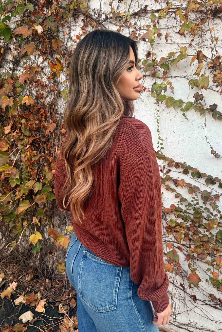 The Briar Collared Knit- Coffee